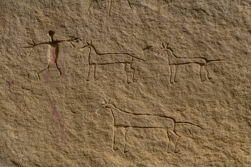 Indian rock carving, Writing-on-Stone Provincial Park, UNESCO World Heritage Site, Alberta, Canada, North America - RHPLF30733