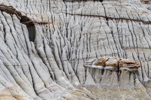 Eroded landscape in the Dinosaur Provincial Park, UNESCO World Heritage Site, Alberta, Canada, North America - RHPLF30743