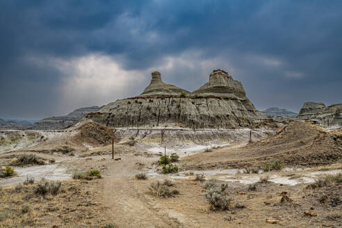 Eroded landscape in the Dinosaur Provincial Park, UNESCO World Heritage Site, Alberta, Canada, North America - RHPLF30745