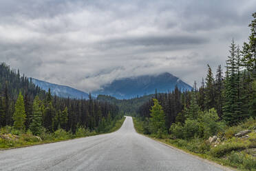 Straße durch den Jasper-Nationalpark, UNESCO-Welterbe, Alberta, Kanadische Rocky Mountains, Kanada, Nordamerika - RHPLF30768