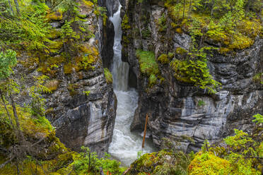 Maligne Canyon, Jasper National Park, UNESCO Weltkulturerbe, Alberta, Kanadische Rockies, Kanada, Nordamerika - RHPLF30771