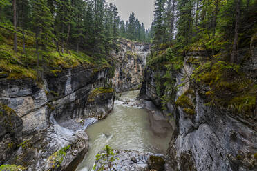 Maligne Canyon, Jasper National Park, UNESCO Weltkulturerbe, Alberta, Kanadische Rockies, Kanada, Nordamerika - RHPLF30775