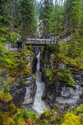 Maligne Canyon, Jasper National Park, UNESCO Weltkulturerbe, Alberta, Kanadische Rockies, Kanada, Nordamerika - RHPLF30779