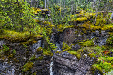 Maligne Canyon, Jasper National Park, UNESCO Weltkulturerbe, Alberta, Kanadische Rockies, Kanada, Nordamerika - RHPLF30780