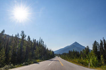 Glacier Parkway, Alberta, Kanada, Nordamerika - RHPLF30781