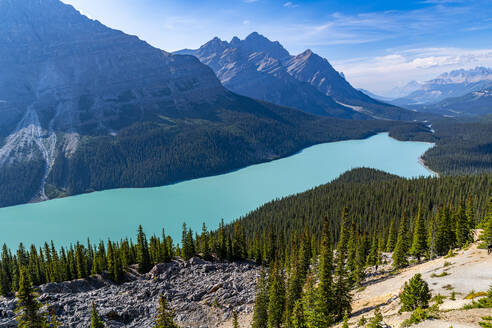 Türkisfarbener Peyto-See, Glacier Parkway, Banff-Nationalpark, UNESCO-Welterbe, Alberta, Kanadische Rocky Mountains, Kanada, Nordamerika - RHPLF30790
