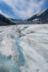 Columbia Icefield, Glacier Parkway, Alberta, Kanada, Nordamerika - RHPLF30799