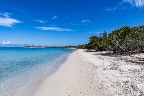 Weißer Sandstrand im Parque Nacional Marino de Punta Frances Punta Pedernales, Isla de la Juventud (Insel der Jugend), Kuba, Westindien, Mittelamerika - RHPLF30867