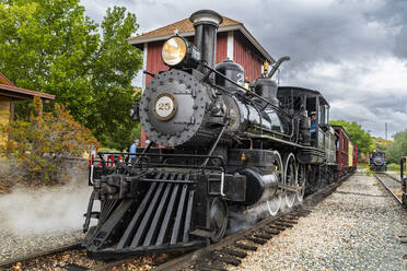 Dampfzug im Nevada State Railroad Museum, Carson City, Nevada, Vereinigte Staaten von Amerika, Nordamerika - RHPLF30890