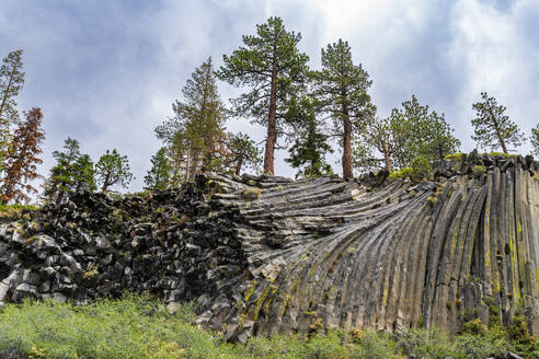 Rock formation of columnar basalt, Devils Postpile National Monument, Mammoth Mountain, California, United States of America, North America - RHPLF30895