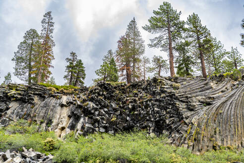 Rock formation of columnar basalt, Devils Postpile National Monument, Mammoth Mountain, California, United States of America, North America - RHPLF30897