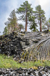 Felsformation aus säulenförmigem Basalt, Devils Postpile National Monument, Mammoth Mountain, Kalifornien, Vereinigte Staaten von Amerika, Nordamerika - RHPLF30898