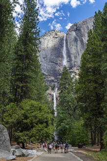 Yosemite Falls, höchster Wasserfall, Yosemite-Nationalpark, UNESCO-Welterbe, Kalifornien, Vereinigte Staaten von Amerika, Nordamerika - RHPLF30929