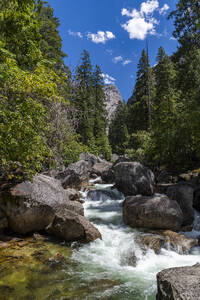 Merced River, Yosemite-Nationalpark, UNESCO-Welterbe, Kalifornien, Vereinigte Staaten von Amerika, Nordamerika - RHPLF30931