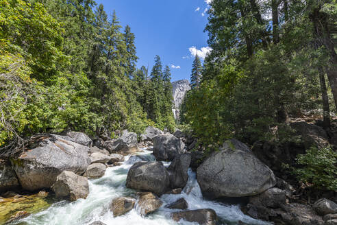 Merced River, Yosemite National Park, UNESCO World Heritage Site, California, United States of America, North America - RHPLF30934