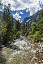 Merced River, Yosemite-Nationalpark, UNESCO-Welterbe, Kalifornien, Vereinigte Staaten von Amerika, Nordamerika - RHPLF30935