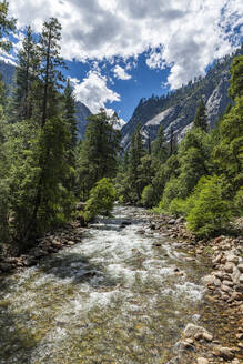 Merced River, Yosemite National Park, UNESCO World Heritage Site, California, United States of America, North America - RHPLF30935