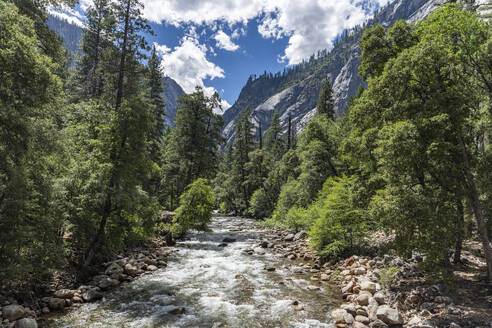 Merced River, Yosemite National Park, UNESCO World Heritage Site, California, United States of America, North America - RHPLF30938