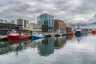 Boat harbour of St. John's, Newfoundland, Canada, North America - RHPLF30940