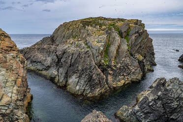 Tektonisches Plattengestein, Bonavista-Halbinsel, Neufundland, Kanada, Nordamerika - RHPLF31005