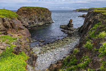 Papageientaucher-Beobachtungsstelle in Elliston, Bonavista-Halbinsel, Neufundland, Kanada, Nordamerika - RHPLF31016