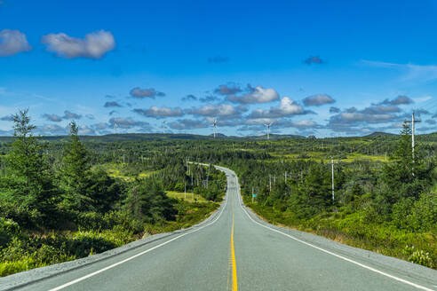 Straße durch die Avalon Wilderness, Neufundland, Kanada, Nordamerika - RHPLF31026