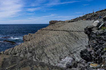 Fossilien aus dem Präkambrium, Mistaken Point, UNESCO-Welterbestätte, Avalon-Halbinsel, Neufundland, Kanada, Nordamerika - RHPLF31041