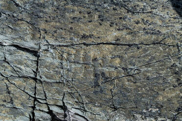 Fossilien aus dem Präkambrium, Mistaken Point, UNESCO-Welterbestätte, Avalon-Halbinsel, Neufundland, Kanada, Nordamerika - RHPLF31048