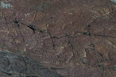 Fossilien aus dem Präkambrium, Mistaken Point, UNESCO-Welterbestätte, Avalon-Halbinsel, Neufundland, Kanada, Nordamerika - RHPLF31051