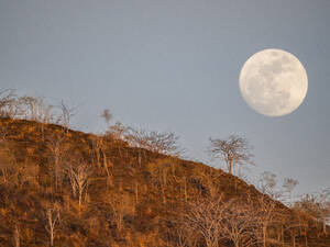 Superblauer Vollmond, der im Osten in der Urbina-Bucht aufgeht, Galapagos-Inseln, UNESCO-Weltnaturerbe, Ecuador, Südamerika - RHPLF31186