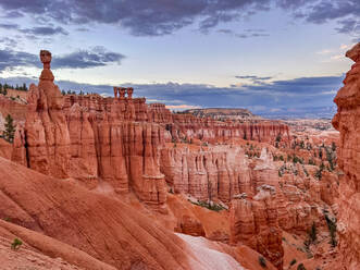 Hoodoos aus rotem Fels im Bryce Canyon National Park, Utah, Vereinigte Staaten von Amerika, Nordamerika - RHPLF31232