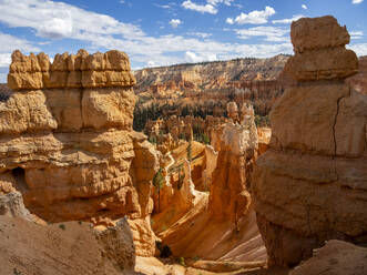 Rote Felsformationen, bekannt als Hoodoos, im Bryce Canyon National Park, Utah, Vereinigte Staaten von Amerika, Nordamerika - RHPLF31233