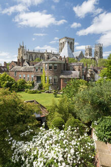 York Minster und Greys Court von den Bar Walls im Frühling, York, Yorkshire, England, Vereinigtes Königreich, Europa - RHPLF31486