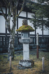 Ein kleiner, mit Moos bewachsener Schrein in Nikko, Honshu, Japan, Asien - RHPLF31488