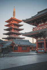 Five-Storied Pagoda at sunrise in the Senso-ji temple, Tokyo, Honshu, Japan, Asia - RHPLF31492