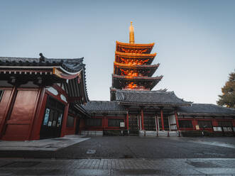 Five-Storied Pagoda at sunrise in the Senso-ji temple, Tokyo, Honshu, Japan, Asia - RHPLF31504