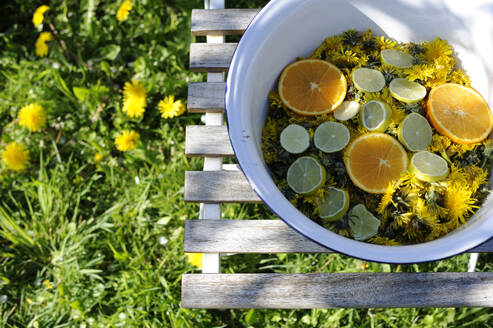 Dandelion heads and citrus fruit slices in enamel bowl - GISF01011