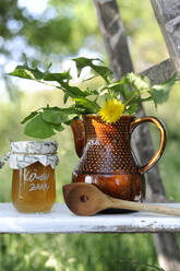 Jar of jam, wooden ladle and dandelion in ceramic jug - GISF01012