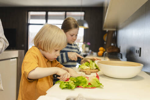 Girl and boy cutting lettuce with knife in kitchen at home - SEAF02135