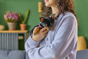 Woman wearing sweater holding chihuahua at home - SECF00061