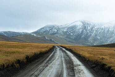 Eine fesselnde Aufnahme fängt eine ruhige Schotterstraße ein, die durch goldene Felder zu schneebedeckten Bergen im isländischen Hochland führt - ADSF50704