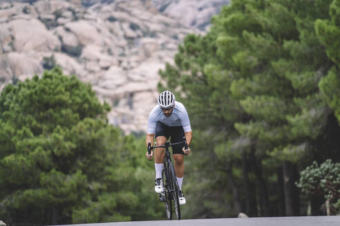 Cyclist in a blue jersey approaching on a mountain road surrounded by pine trees - ADSF50721