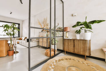 Lampenschirm mit Zimmerpflanzen auf Holzschrank durch Glaswand in moderner Wohnung mit Wohnzimmer im Hintergrund - ADSF50737