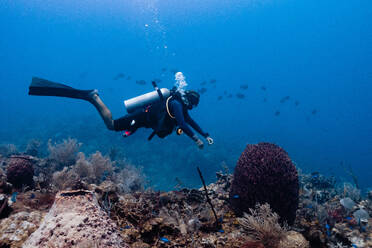 Ein Taucher schwimmt in einer ruhigen Unterwasserszene in Cancun, Mexiko, neben bunten Korallen und Meereslebewesen - ADSF50777