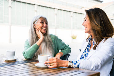 Beautiful senior women bonding outdoors in the city - Attractive cheerful mature female friends having fun, shopping and bonding, concepts about elderly lifestyle - DMDF07643