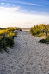 Germany, Schleswig-Holstein, Sandy footpath leading to beach - EGBF00971