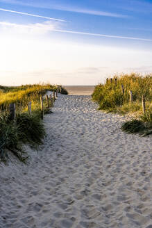 Deutschland, Schleswig-Holstein, Sandiger Fußweg zum Strand - EGBF00971