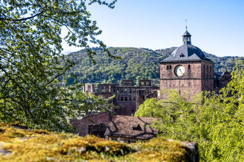 Deutschland, Baden-Württemberg, Heidelberg, Ruine des Heidelberger Schlosses im Sommer - EGBF00976