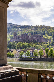 Germany, Baden-Wurttemberg, Heidelberg, Ruins of Heidelberg Castle with Neckar river in foreground - EGBF00981