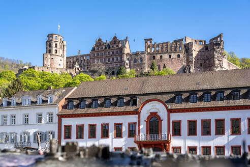 Deutschland, Baden-Württemberg, Heidelberg, Altstadthäuser am Karlsplatz mit der Ruine des Heidelberger Schlosses im Hintergrund - EGBF00985